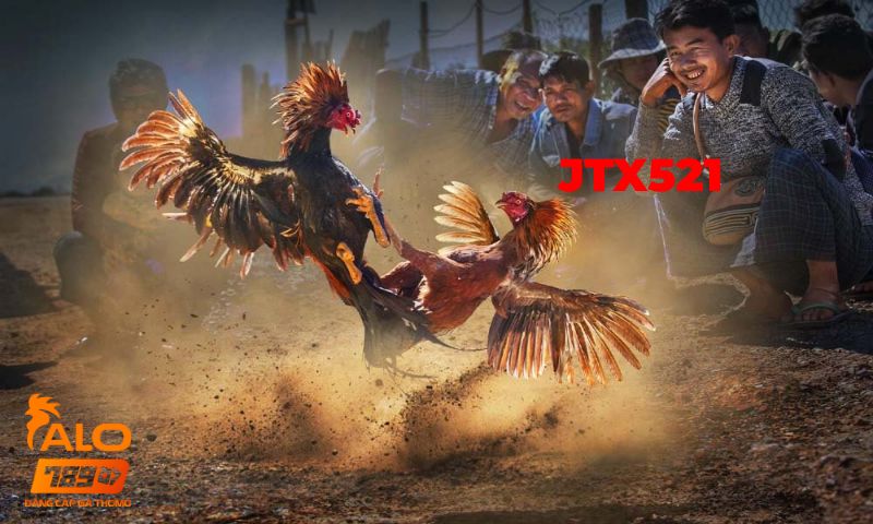 Jtx521 1